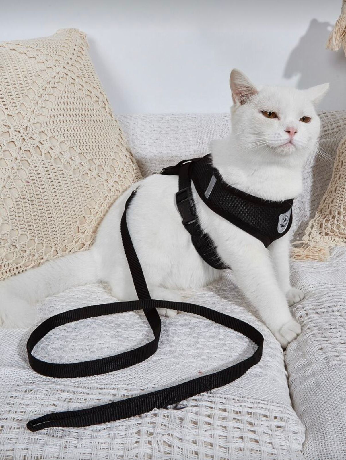 Adjustable Cat Collar