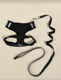 Adjustable Cat Collar