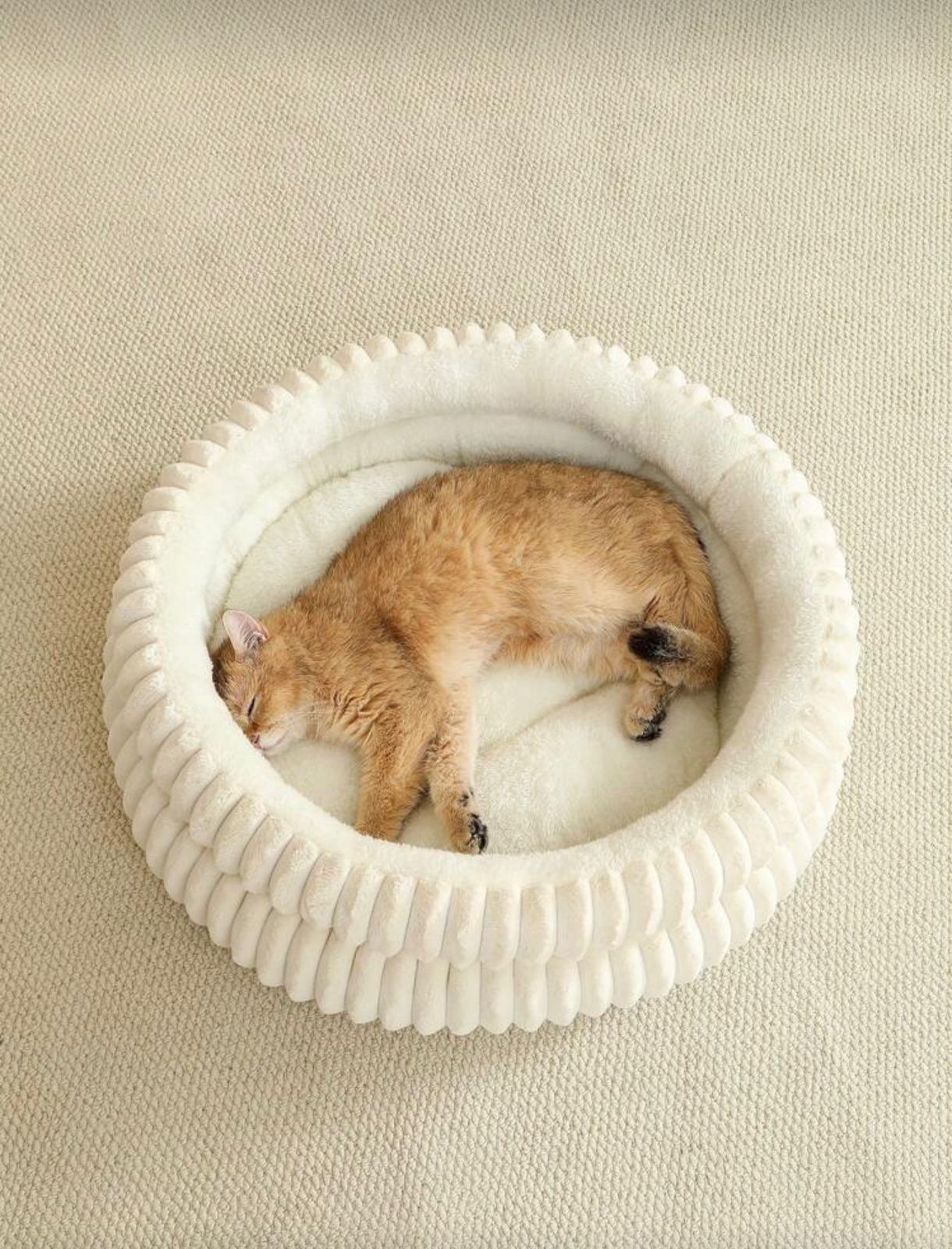 Cozy Round Cat Bed