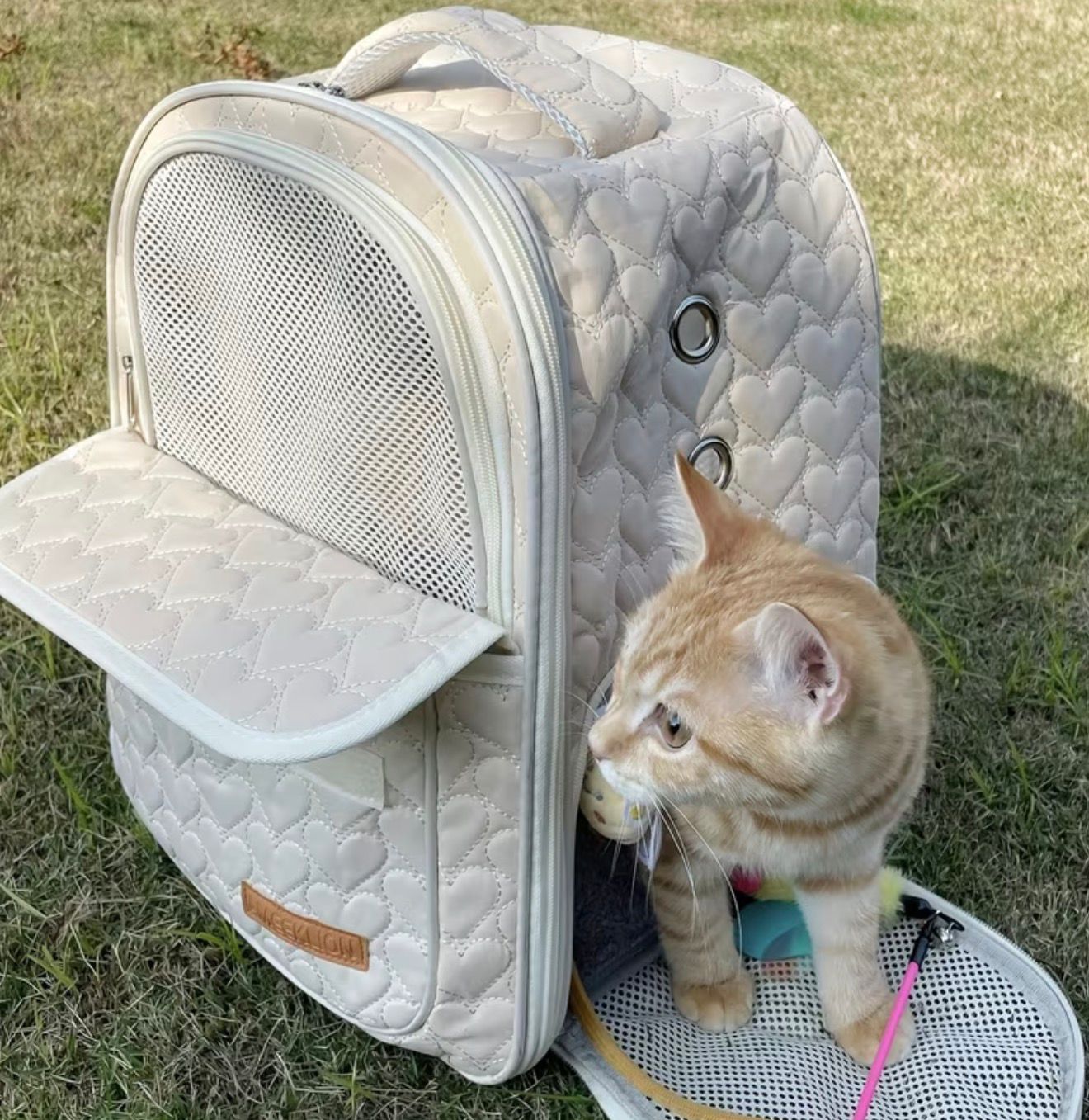 Scandinavian Cat Carrier