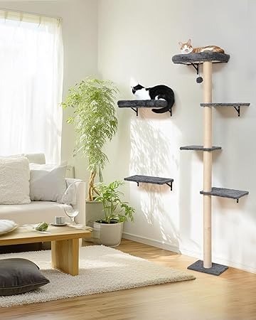 Floating Wood Cat Shelves