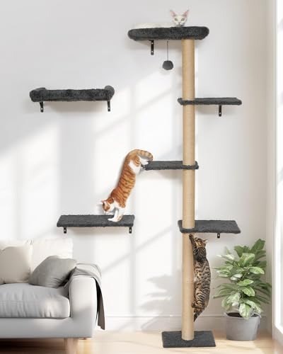 Floating Wood Cat Shelves
