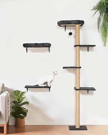 Floating Wood Cat Shelves